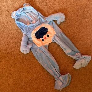 Grumpy Bear Dog Costume